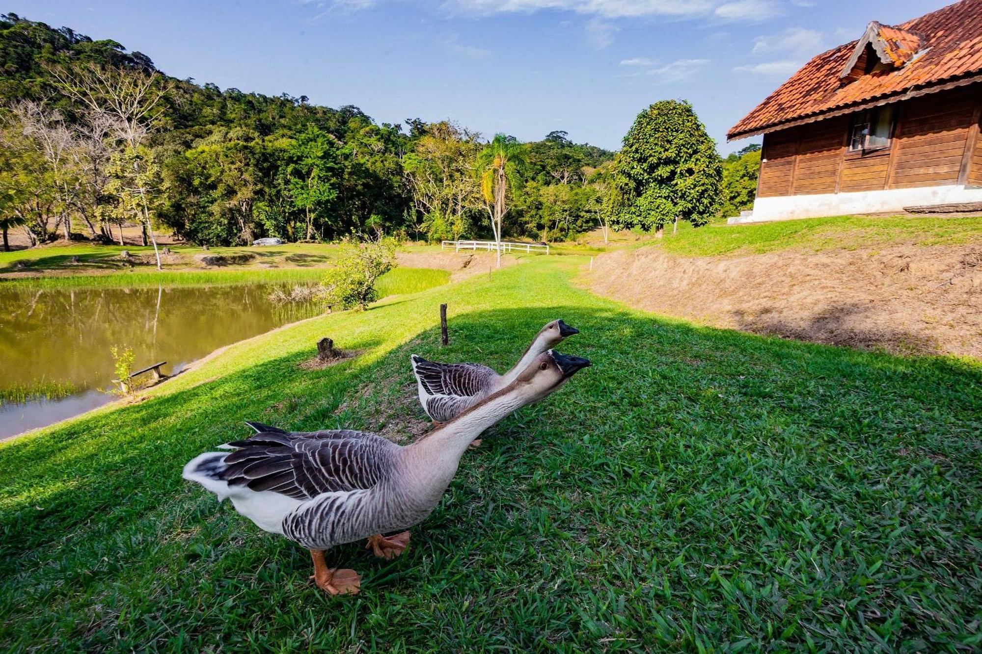 Recanto Das Aguas - Chales No Meio Da Mata Atlantica Eldorado Buitenkant foto