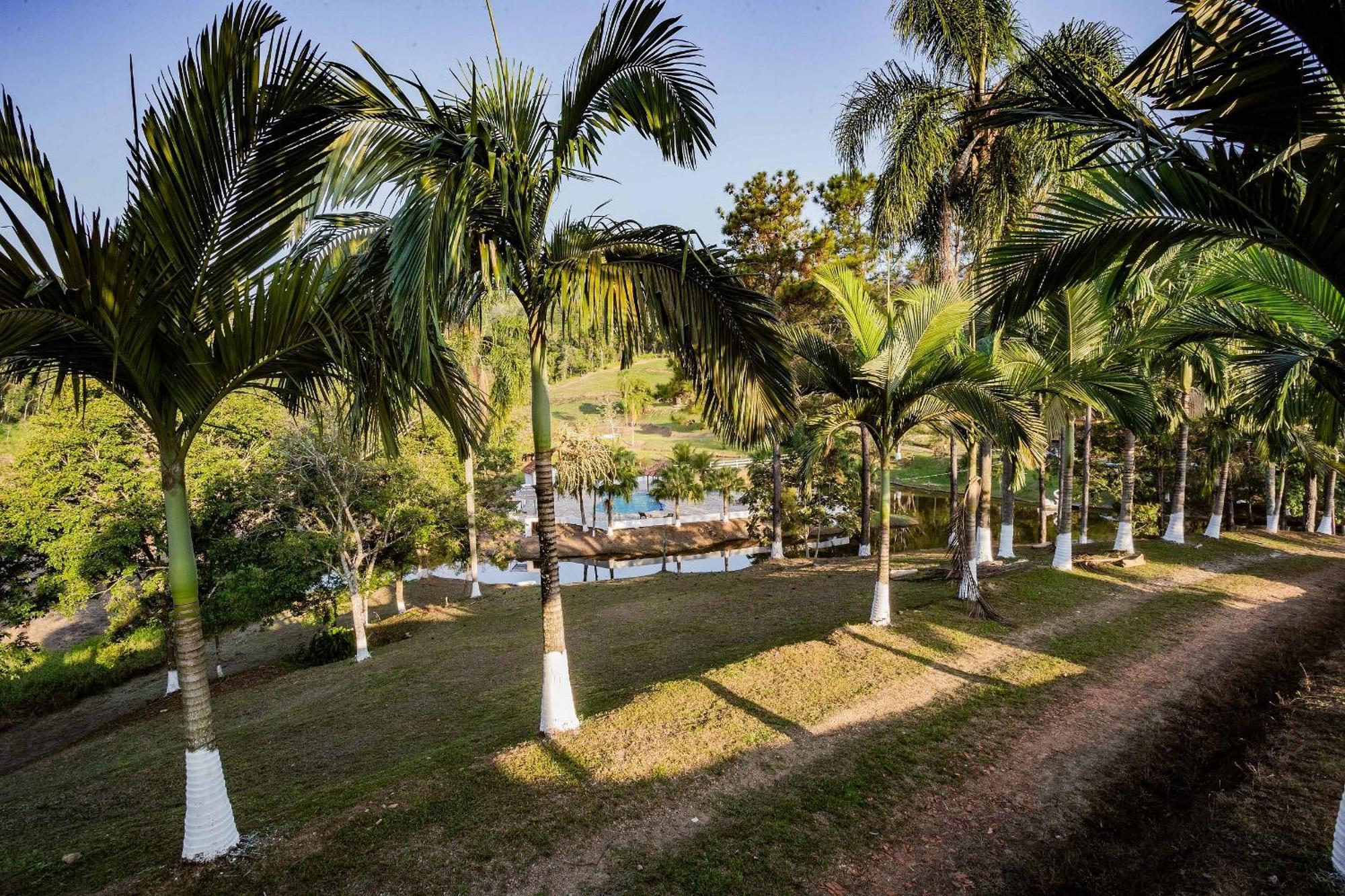 Recanto Das Aguas - Chales No Meio Da Mata Atlantica Eldorado Buitenkant foto
